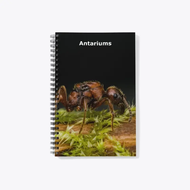 Carnet de note Antariums